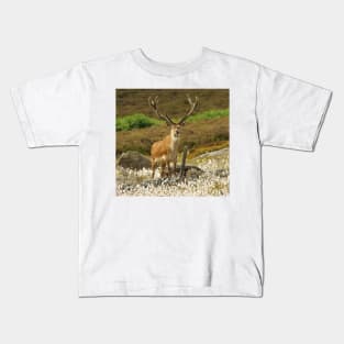 stag in cotton grass peak district Kids T-Shirt